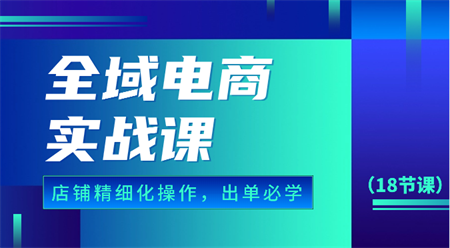 全域电商实战课，个人店铺精细化操作流程，出单必学内容（18节课）-侠客分享网