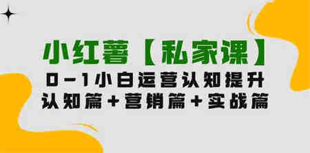 （9910期）小红薯【私家课】0-1玩赚小红书内容营销，认知篇+营销篇+实战篇（11节课）-侠客分享网