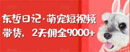 东哲日记·萌宠短视频带货，2天佣金9000+-侠客分享网