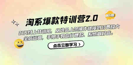 淘系爆款特训营2.0【第六期】从选品上架到付费放大 全店运营 打爆款 做好店-侠客分享网