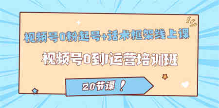 视频号·0粉起号+话术框架线上课：视频号0到1运营培训班（20节课）-侠客分享网