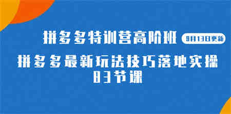 2023拼多多·特训营高阶班【9月19日更新】拼多多最新玩法技巧落地实操-83节-侠客分享网