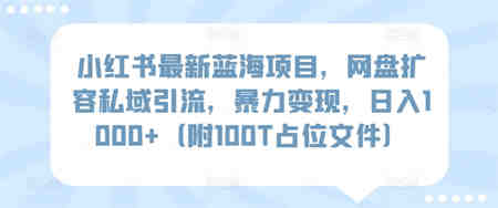 小红书最新蓝海项目，网盘扩容私域引流，暴力变现，日入1000+（附100T占位文件）-侠客分享网