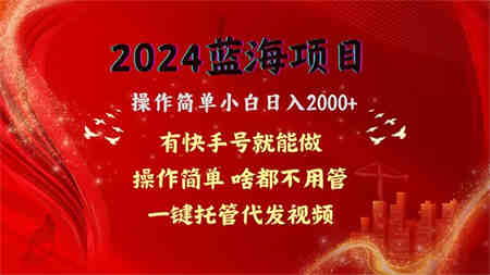 （10693期）2024蓝海项目，网盘拉新，操作简单小白日入2000+，一键托管代发视频，…-侠客分享网