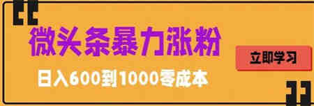 微头条暴力涨粉技巧搬运文案就能涨几万粉丝，简单0成本，日赚600-侠客分享网