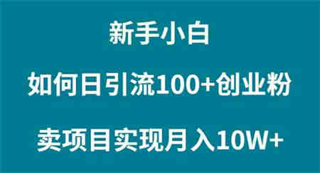 （9556期）新手小白如何通过卖项目实现月入10W+-侠客分享网