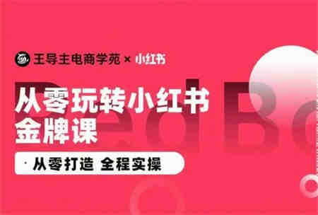 王导主·小红书电商运营实操课，​从零打造  全程实操-侠客分享网