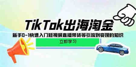 （10035期）TikTok-出海淘金，新手0-1快速入门短视频直播带货等引流到变现的知识-侠客分享网