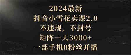 （9639期）2024最新抖音小雪花卖课2.0 不违规 不封号 矩阵一天3000+一部手机0粉丝开播-侠客分享网