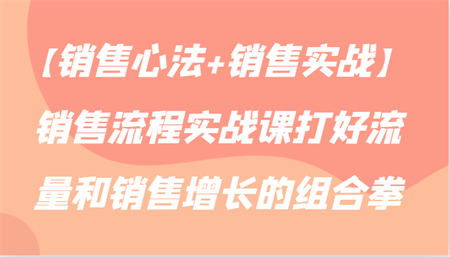 【销售心法+销售实战】销售流程实战课打好流量和销售增长的组合拳-侠客分享网