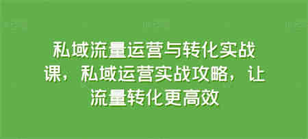 私域流量运营与转化实战课，私域运营实战攻略，让流量转化更高效-侠客分享网