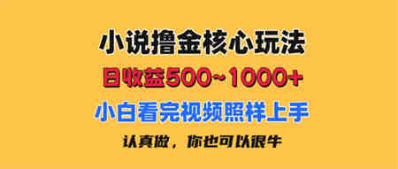 小说撸金核心玩法，日收益500-1000+，小白看完照样上手，0成本有手就行-侠客分享网