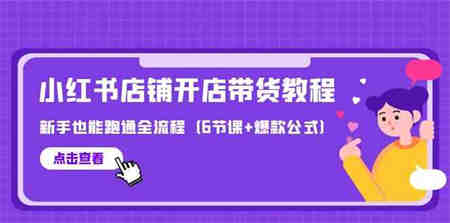 （9883期）最新小红书店铺开店带货教程，新手也能跑通全流程（6节课+爆款公式）-侠客分享网