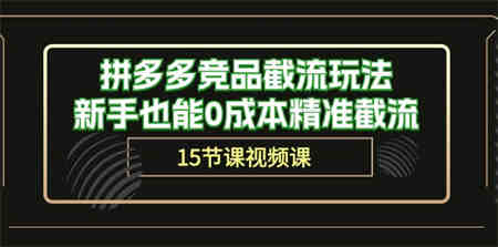 拼多多竞品截流玩法，新手也能0成本精准截流（15节课）-侠客分享网