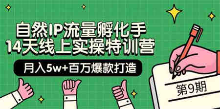 （9881期）自然IP流量孵化手 14天线上实操特训营【第9期】月入5w+百万爆款打造 (74节)-侠客分享网