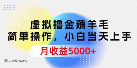 （9864期）虚拟撸金薅羊毛，简单操作，小白当天上手，月收益5000+-侠客分享网