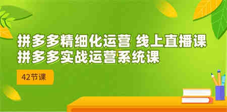 拼多多精细化运营 线上直播课：拼多多实战运营系统课（更新47节）-侠客分享网