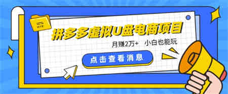 拼多多虚拟U盘电商红利项目：月赚2万+，新手小白也能玩-侠客分享网