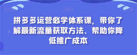 拼多多运营必学体系课，带你了解最新流量获取方法、帮助你降低推广成本-侠客分享网