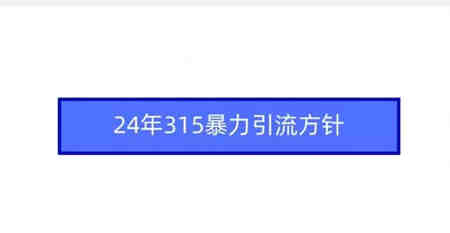 24年315暴力引流方针-侠客分享网