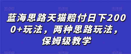 蓝海思路天猫赔付日下2000+玩法，两种思路玩法，保姆级教学【仅揭秘】-侠客分享网