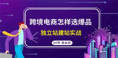 跨境电商怎样选爆品，独立站建站实战（20节高清课）-侠客分享网