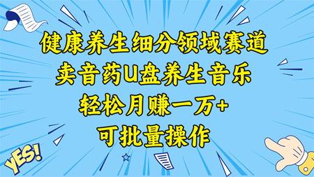 健康养生细分领域赛道，卖音药U盘养生音乐，轻松月赚一万+，可批量操作-侠客分享网