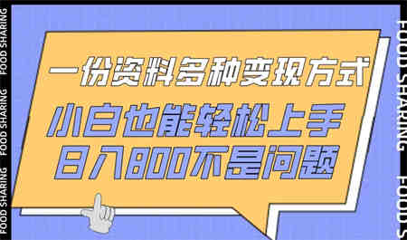 一份资料多种变现方式，小白也能轻松上手，日入800不是问题-侠客分享网