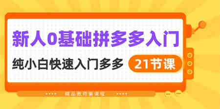 新人0基础拼多多入门，纯小白快速入门多多（21节课）-侠客分享网