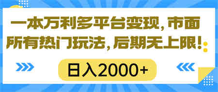 （10311期）一本万利多平台变现，市面所有热门玩法，日入2000+，后期无上限！-侠客分享网