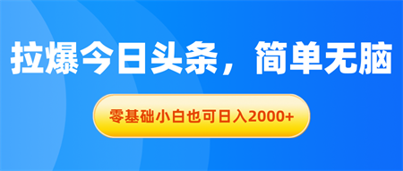 拉爆今日头条，简单无脑，零基础小白也可日入2000+-侠客分享网