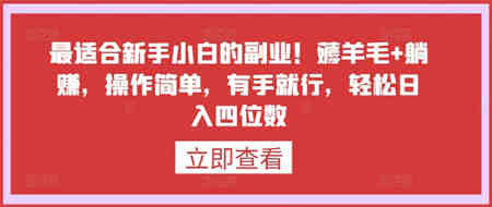 最适合新手小白的副业！薅羊毛+躺赚，操作简单，有手就行，轻松日入四位数-侠客分享网