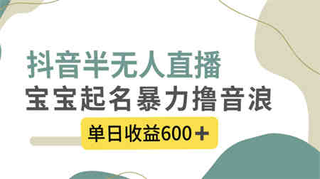 抖音半无人直播，宝宝起名，暴力撸音浪，单日收益600+-侠客分享网