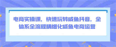 电商实操课，快速玩转咸鱼抖音，全体系全流程精细化咸鱼电商运营-侠客分享网