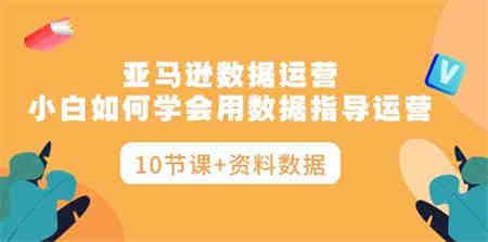 （10158期）亚马逊数据运营，小白如何学会用数据指导运营（10节课+资料数据）-侠客分享网