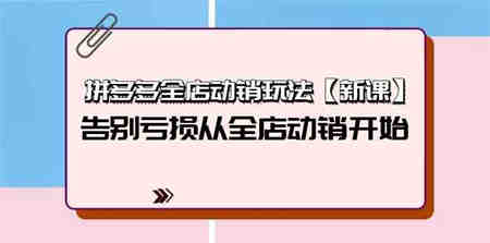 （9974期）拼多多全店动销玩法【新课】，告别亏损从全店动销开始（4节视频课）-侠客分享网