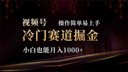 2024视频号冷门赛道掘金，操作简单轻松上手，小白也能月入1000+-侠客分享网