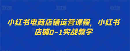 小红书电商店铺运营课程，小红书店铺0-1实战教学-侠客分享网