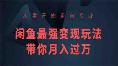 从零开始走向专业，闲鱼最强变现玩法带你月入过万-侠客分享网