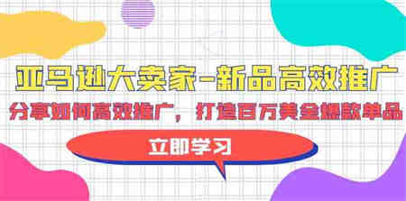 （9945期）亚马逊 大卖家-新品高效推广，分享如何高效推广，打造百万美金爆款单品-侠客分享网