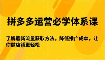 拼多多运营必学体系课-了解最新流量获取方法，降低推广成本，让你做店铺更轻松-侠客分享网