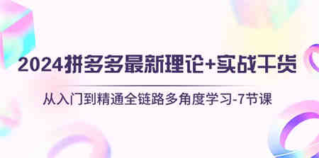 （10816期）2024拼多多 最新理论+实战干货，从入门到精通全链路多角度学习-7节课-侠客分享网