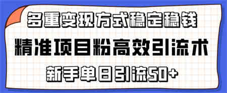 精准项目粉高效引流术，新手单日引流50+，多重变现方式稳定赚钱-侠客分享网