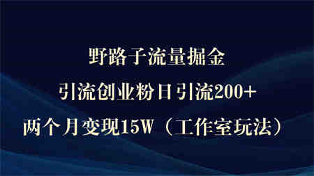 （9513期）野路子流量掘金，引流创业粉日引流200+，两个月变现15W（工作室玩法））-侠客分享网