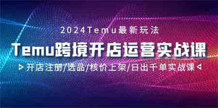 2024Temu跨境开店运营实战课，开店注册/选品/核价上架/日出千单实战课-侠客分享网