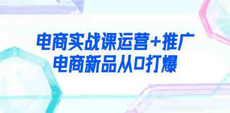 （9313期）电商实战课运营+推广，电商新品从0打爆（99节视频课）-侠客分享网