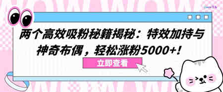 两个高效吸粉秘籍揭秘：特效加持与神奇布偶，轻松涨粉5000+-侠客分享网