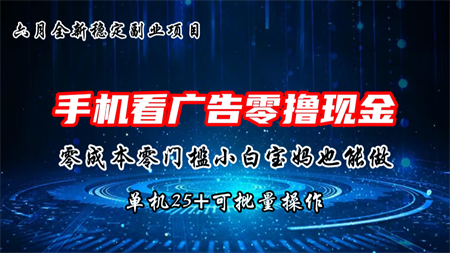 六月新项目，单机撸现金，单机20+，零成本零门槛，可批量操作-侠客分享网