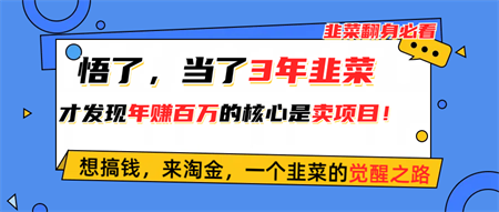 （10759期）悟了，当了3年韭菜，才发现网赚圈年赚100万的核心是卖项目，含泪分享！-侠客分享网