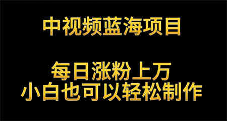 中视频蓝海项目，解读英雄人物生平，每日涨粉上万，小白也可以轻松制作，月入过万不是梦-侠客分享网